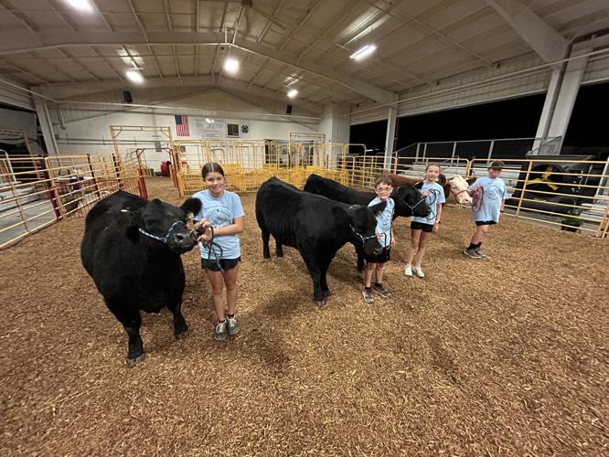 Harrison County Fair