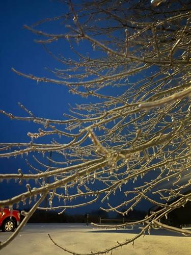 HODGENVILLE SNOW 01-25-26 SUE LOYALL.jpg