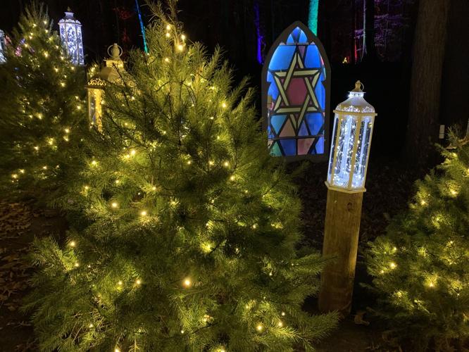 Winter Woods Spectacular (9).JPG