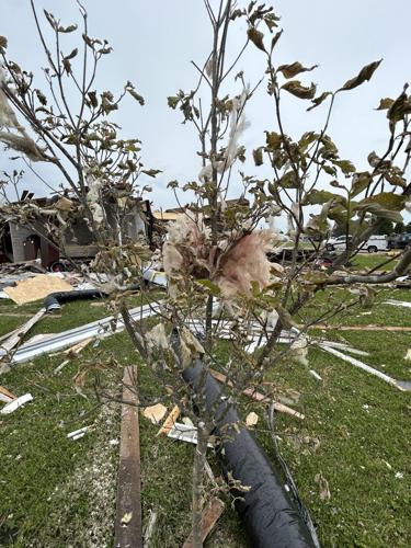 London tornado damage 5-19-25