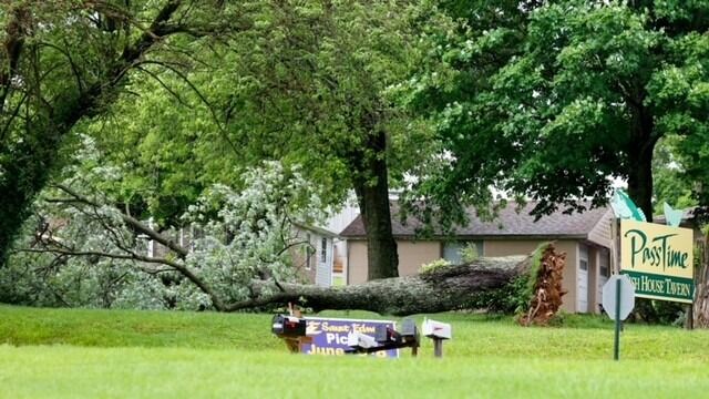 Tree down at Pass Time Tavern.jpg