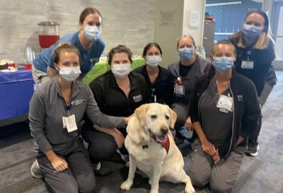 A birthday party was held for Henry the facility dog at Norton Audubon Hospital on July 28, 2022