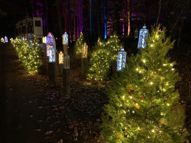 WINTER WOODS SPECTACULAR 2.jpeg