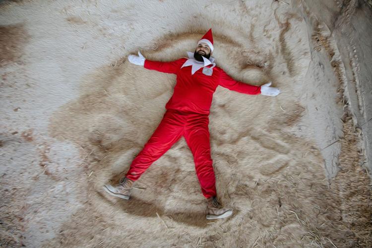 ELF ON THE FARM - AFFINITY FARM 12-22-2023  (8).jpg