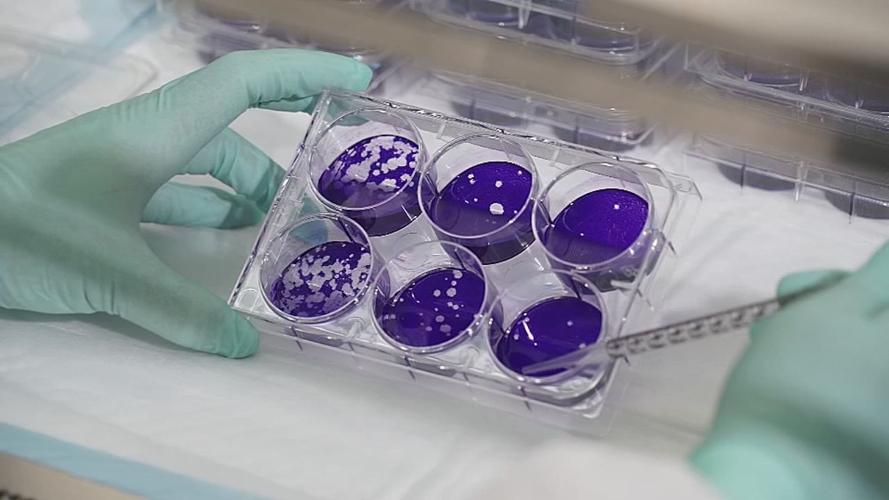 CORONAVIRUS TESTING  (1).jpg