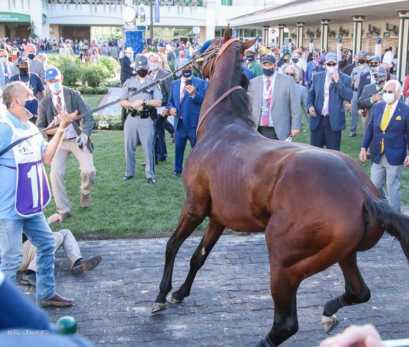 Thousands words rears up in Churchill Downs paddock before Derby 146