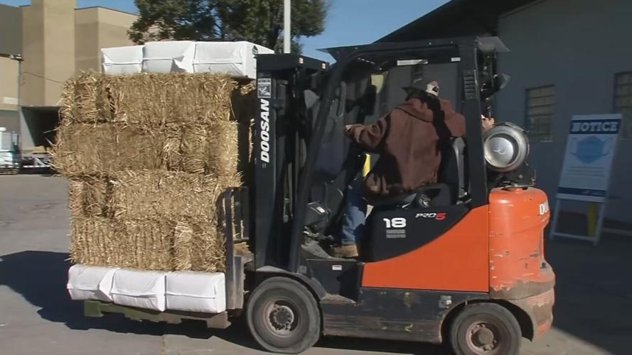 Livestock Expo Hay on Forklift