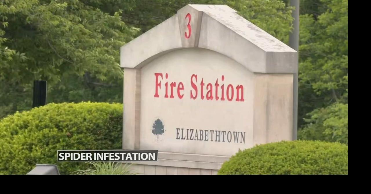 2 Elizabethtown firefighters bitten by brown recluse spiders after infestation at station