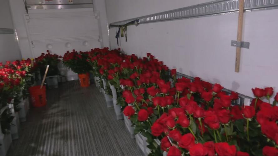 Containers of roses for Derby 150 winner