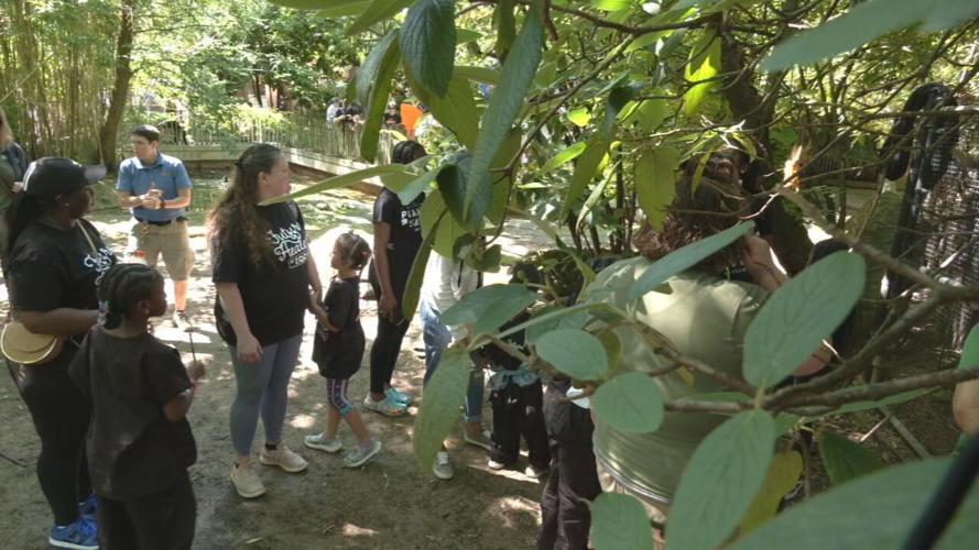 Future Healers Got Zoo Buddies at Louisville Zoo, 2022