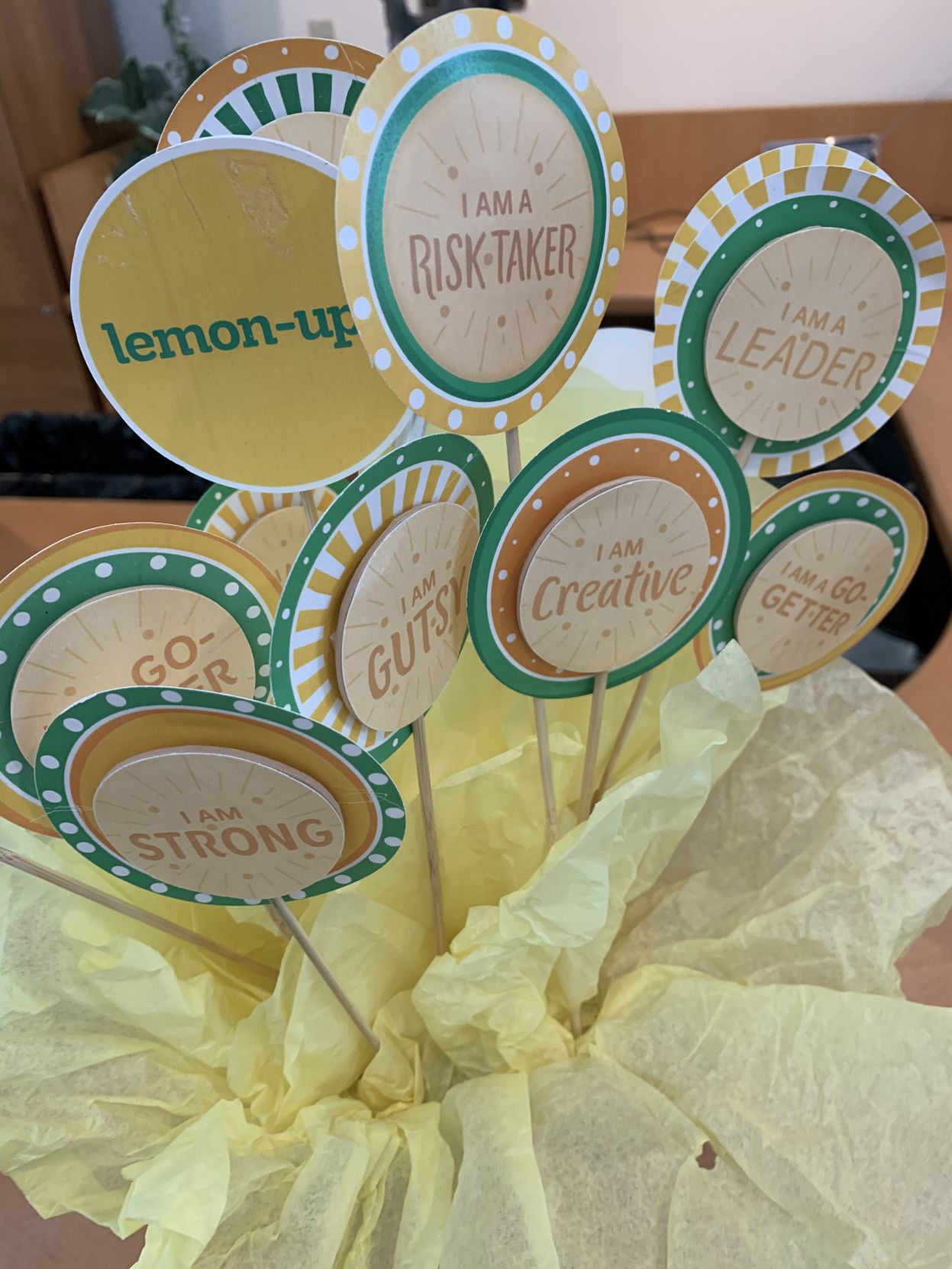 NEW GIRL SCOUT COOKIE - 1-7-2020  (11).jpg