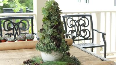 succulent christmas tree 10-20-20 fox.jpg