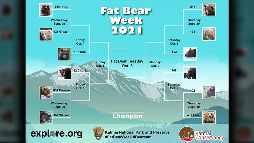 Fat Bear Week It's time to weigh in on Katmai National Park's biggest