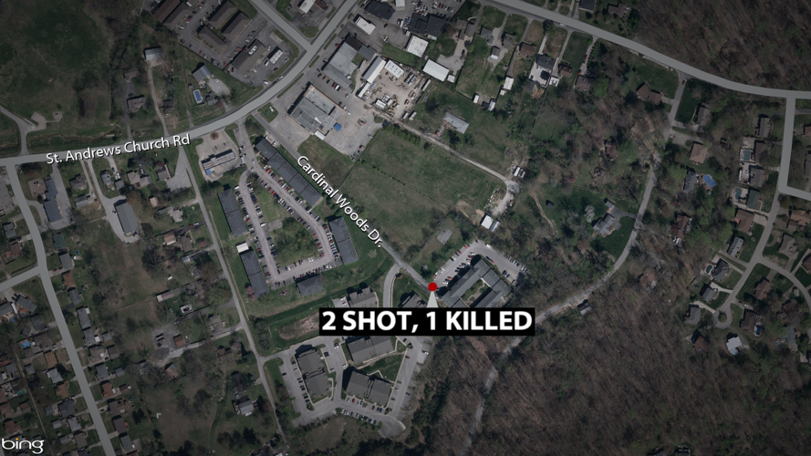 CARDINAL WOODS DR SHOOTING - 12-3-2022