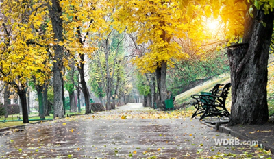 Gloomy Sunday ushers in cooler air for this week