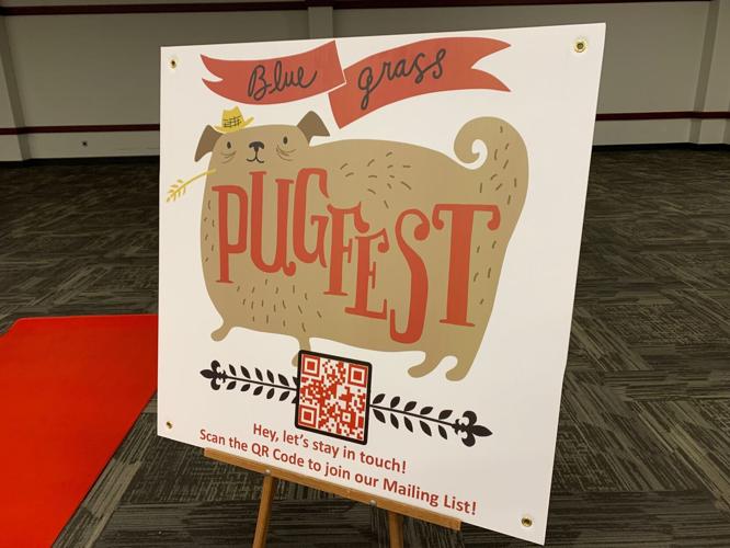Pugfest