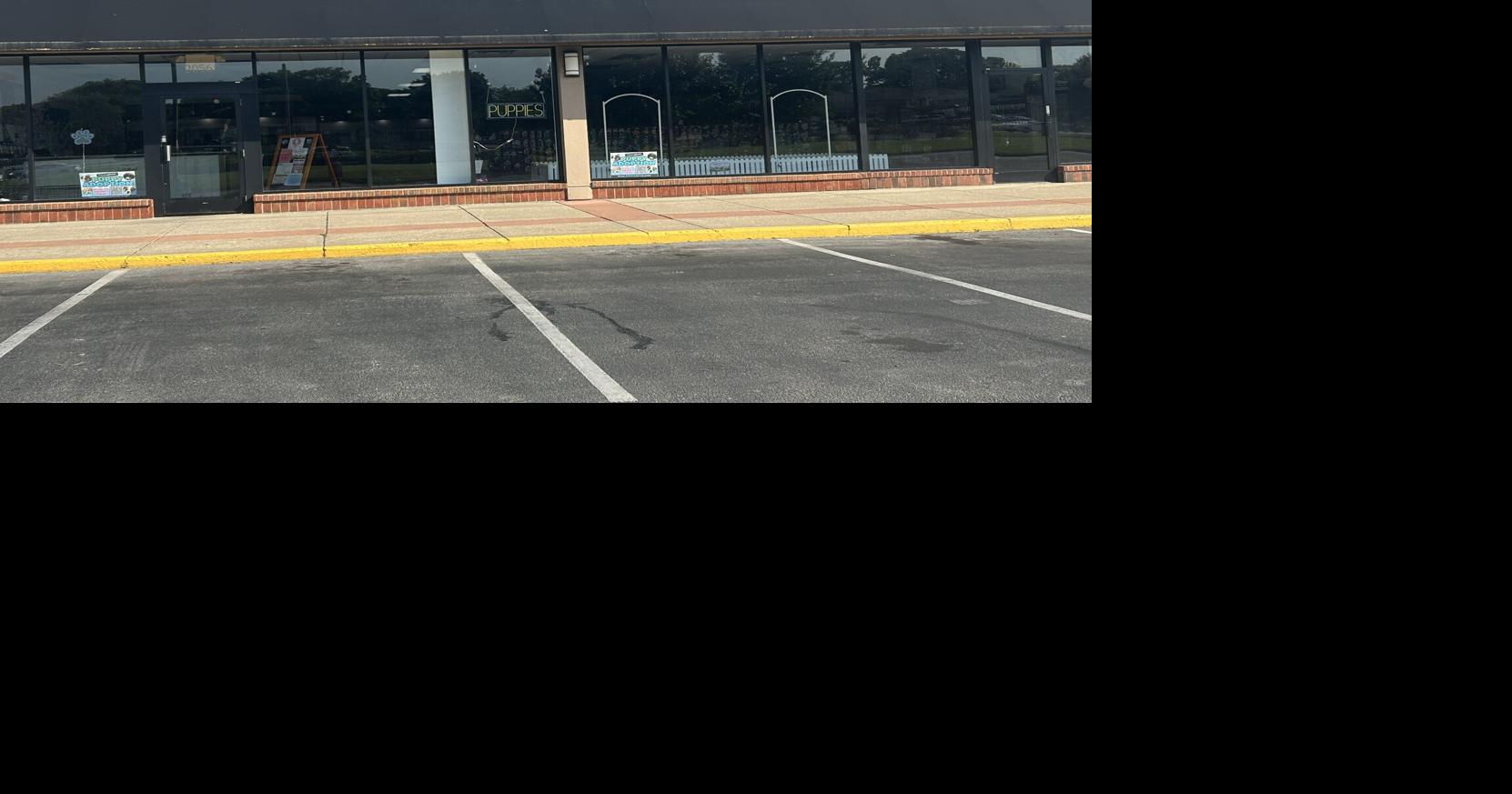 Pet store closure in Louisville tied to crackdown on puppy mill pipeline | Local News