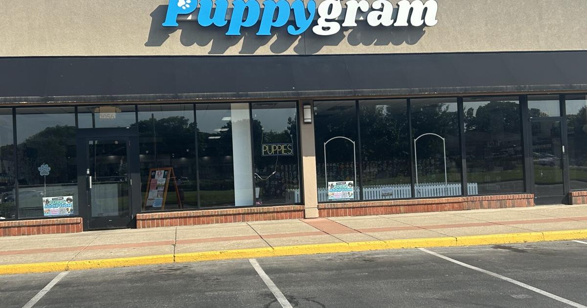 Pet store closure in Louisville tied to crackdown on puppy mill pipeline | Local News Pet store closure in Louisville tied to crackdown on puppy mill pipeline | Local News