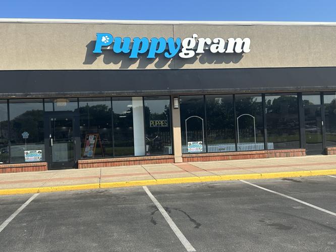 PUPPYGRAM STORE 6-24-2025 (1).jpeg