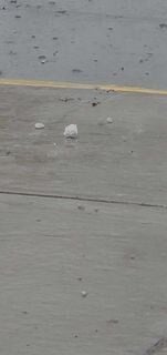 STORM - HAIL IN MADISON - KATRINA ADAMS -  3-14-2024 1 (1).jpg