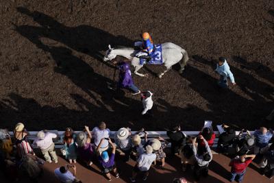 Breeders Cup Classic Horse Racing