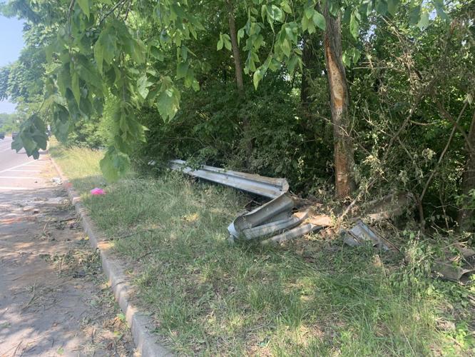 another tree damage.jpg