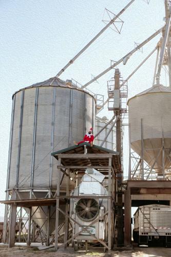 ELF ON THE FARM - AFFINITY FARM 12-22-2023  (9).jpg