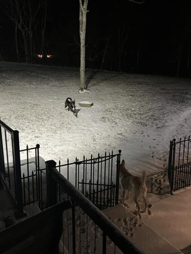 Darlene Brumleve - Taylorsville.jpg