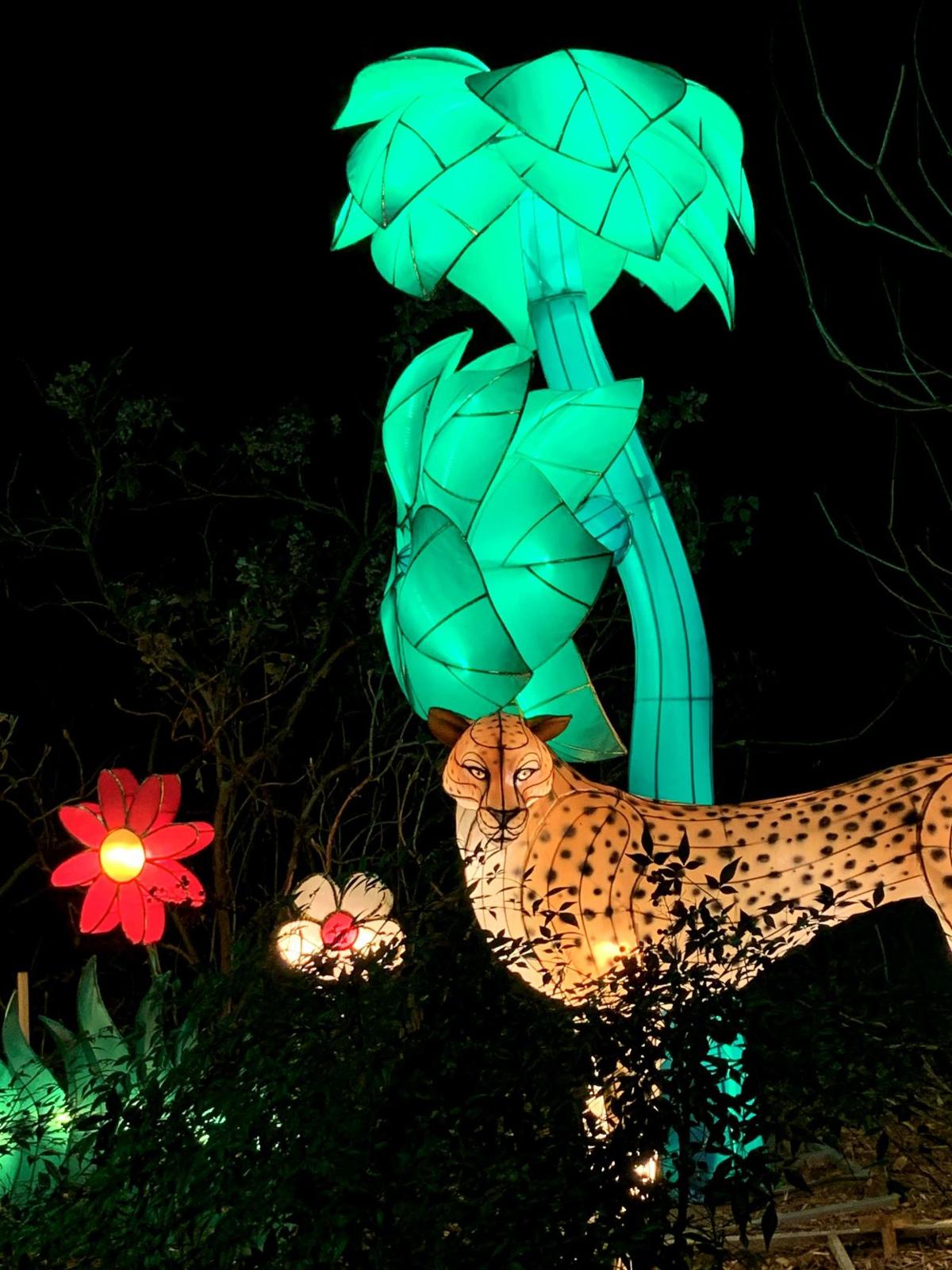 SNEAK PEEK: Louisville Zoo lights up for Asian Lantern Festival | News | www.neverfullmm.com