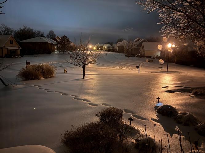 ICE - Goshen - nighttime ice Gregg Kastman 1-5-2025.jpg