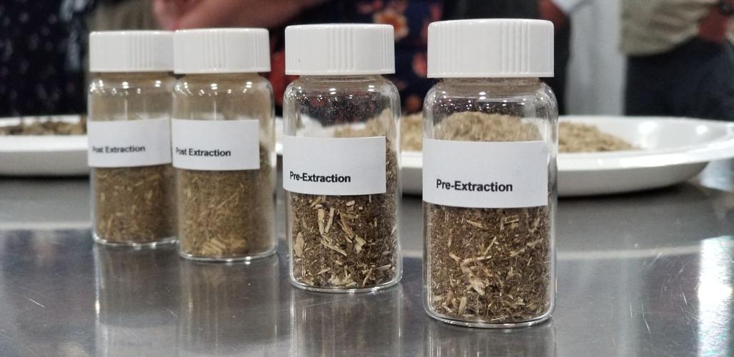 HEMP - CBD PRODUCTS - MCCONNELL PRESSER 7-2-19  - TOM ROUND (8).jpg