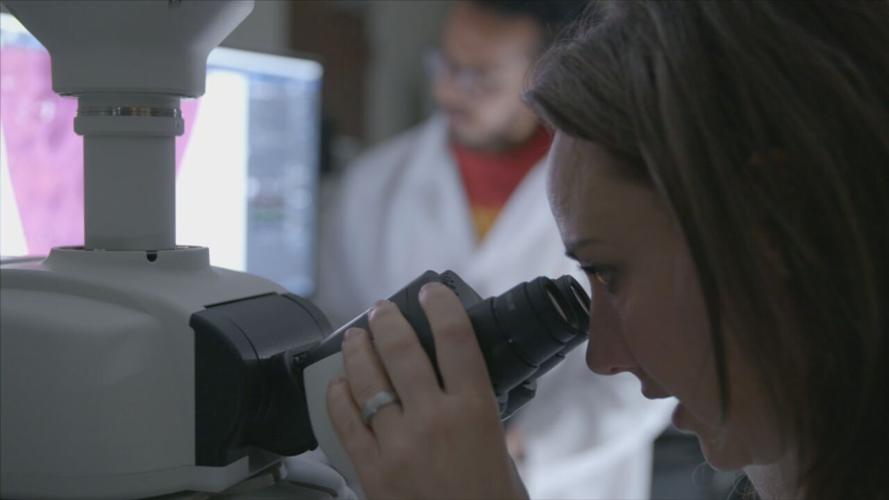Woman looks through microscope at St. Jude Children's Research Hospital