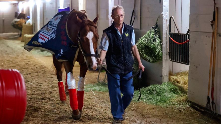 Mage the morning after