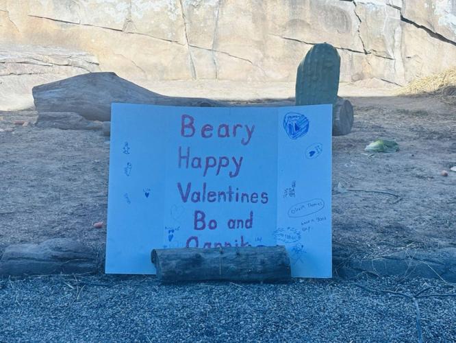 Polar bears at Louisville zoo celebrate Valentine's Day - 2.14.25