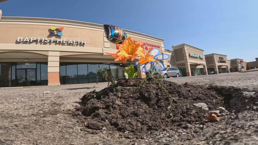 Fake flowers planted in pothole outside primary care office on Dixie Highway