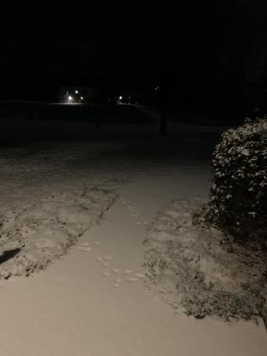 Sharon Ward - Bardstown KY.jpg