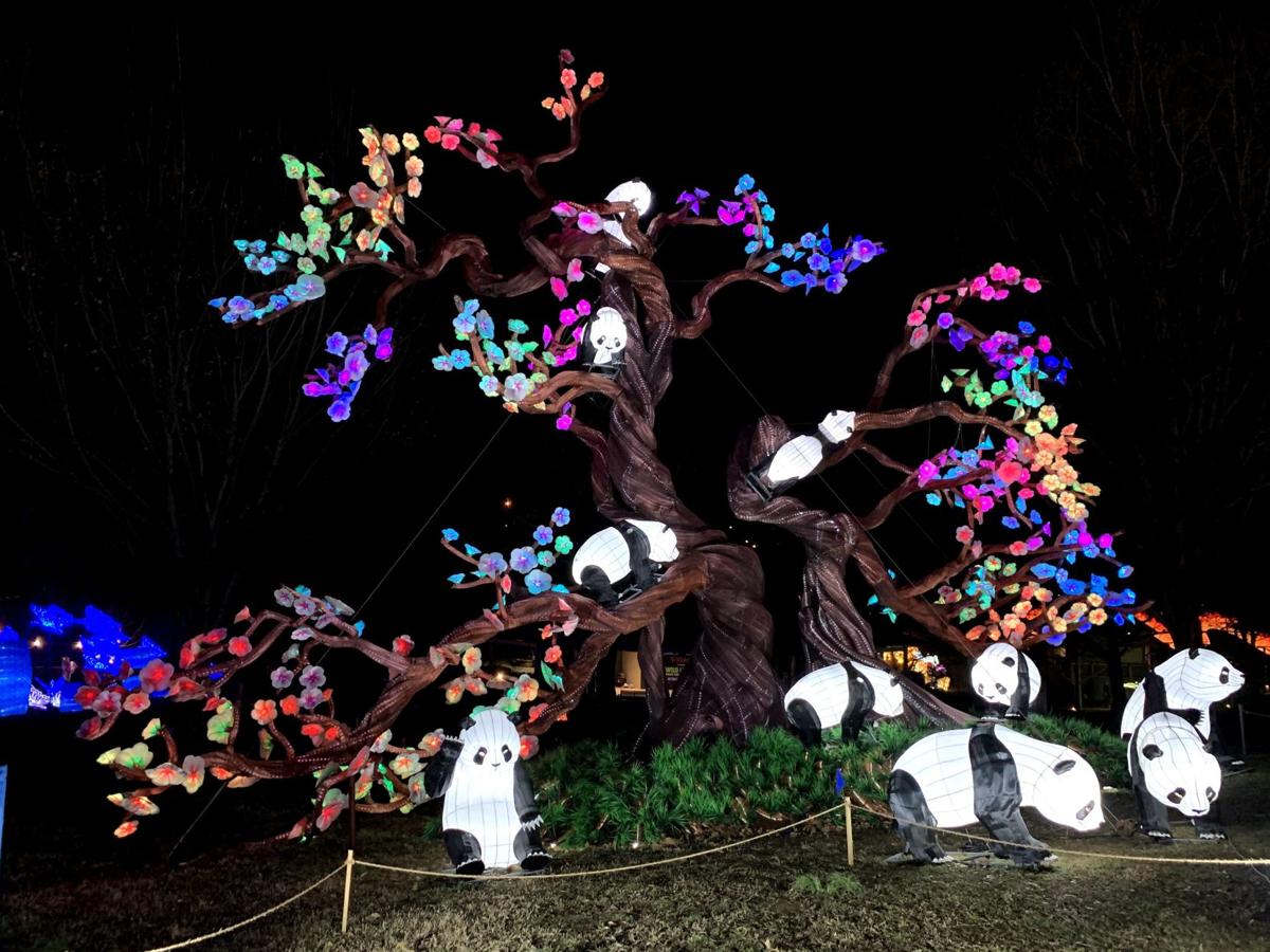 SNEAK PEEK: Louisville Zoo lights up for Asian Lantern Festival | News | www.paulmartinsmith.com