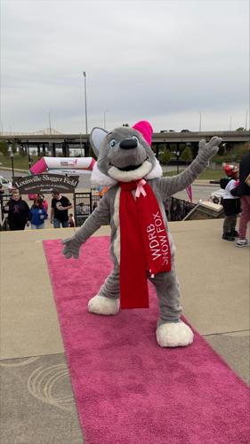 SUSAN KOMEN WALK