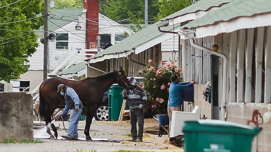 Churchill Downs backside COVID