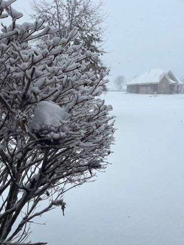 ICE - Bullitt County - Don Dziadus 1-6-2025.jpg