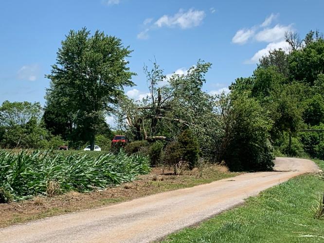 Trees Down in Hardin County.