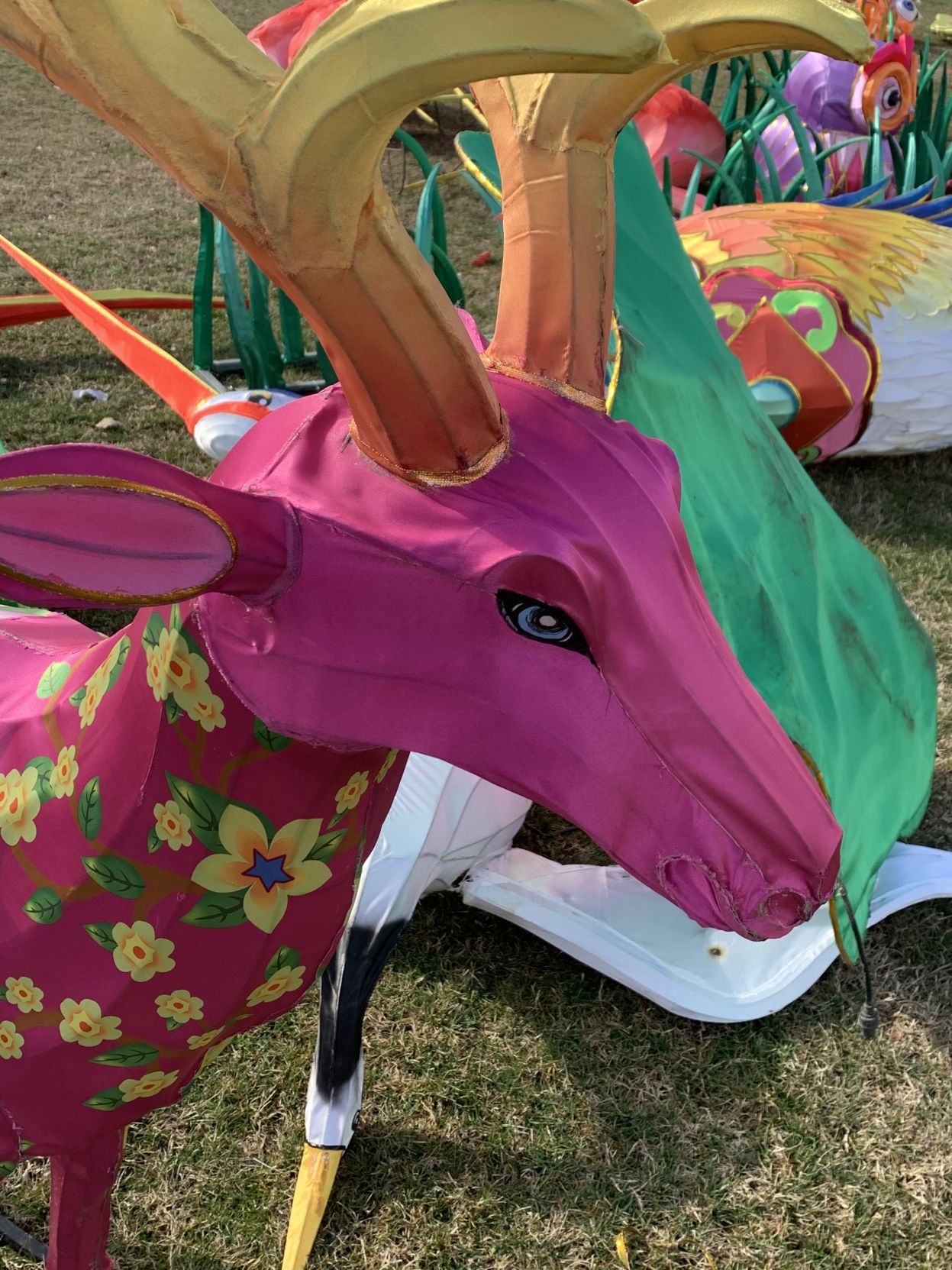 Asian Lantern Festival (deer).jpg