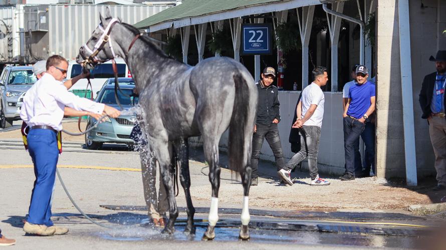 Essential Quality-2.jpg