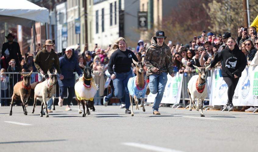Starting line at race at Bock Fest.JPG