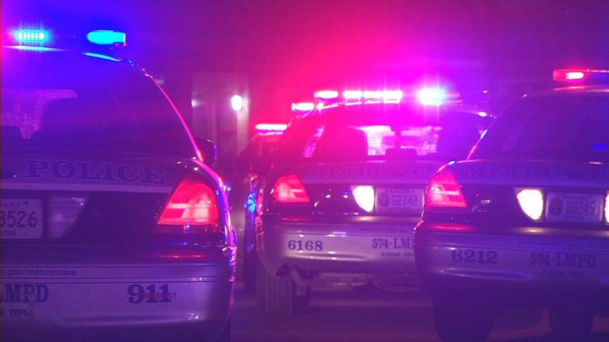 Generic LMPD cruisers.jpg