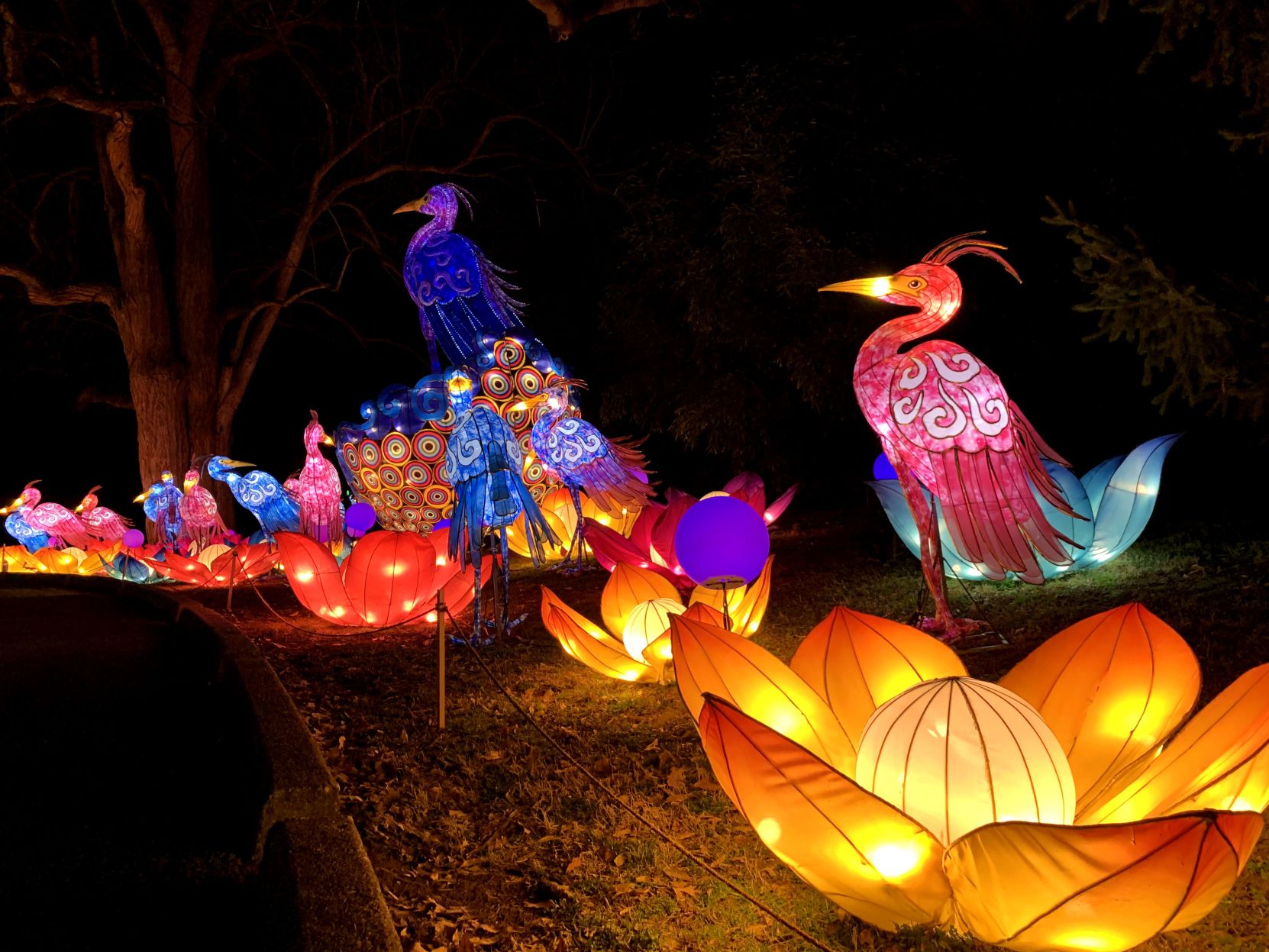 pittsburgh zoo chinese lantern festival