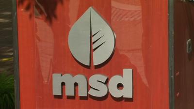 MSD logo