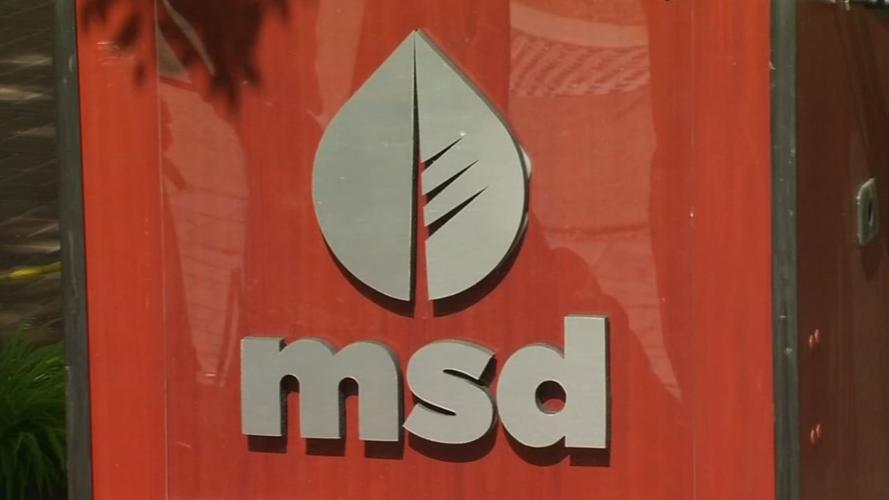 MSD logo