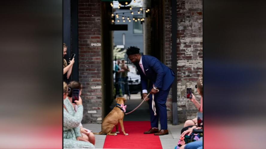 Rescues & Roses event