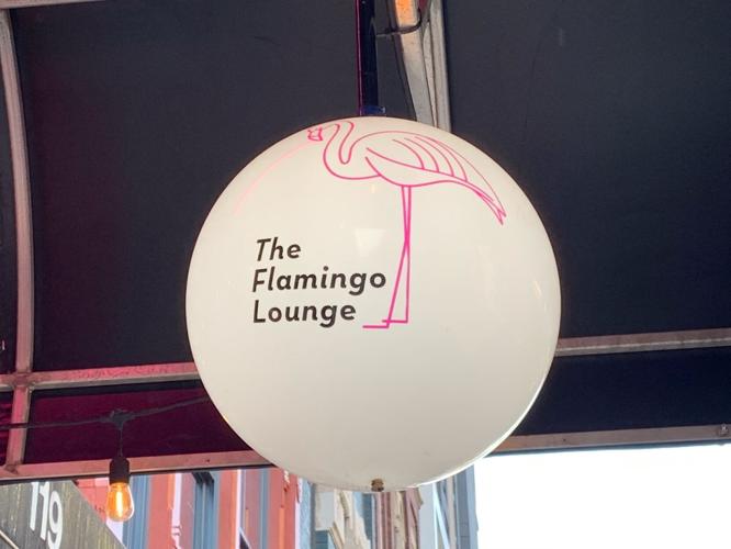 Flamingo 2.jpg